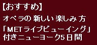 ニューヨーク5日間